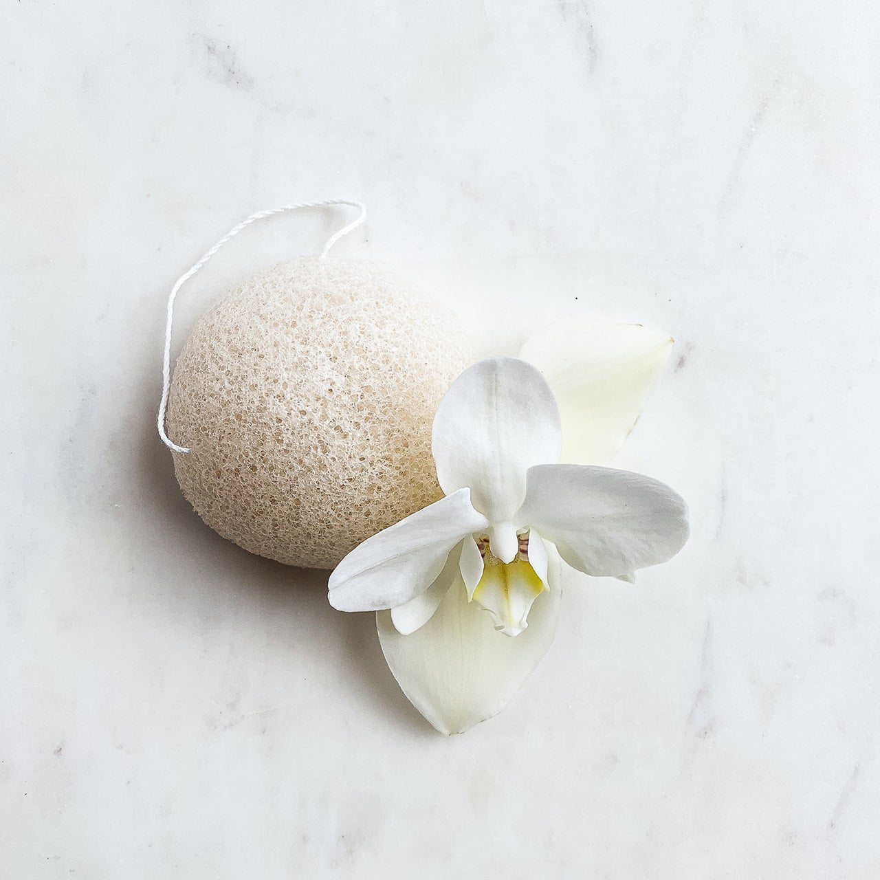 konjac facial sponge 